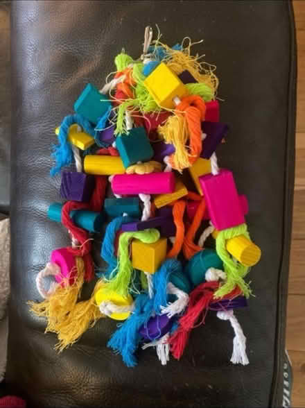 Photo of free Large Parrot 🦜/ Bird Toy (Cheshunt En8) #1