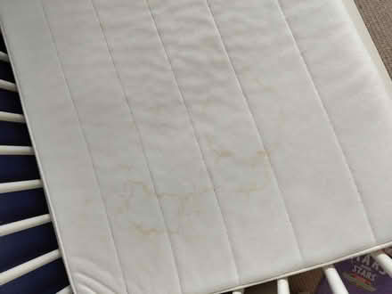 Photo of free Cot (Weston) #3