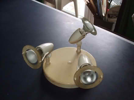 Photo of free ceiling lamps (Broxbourne EN10) #1