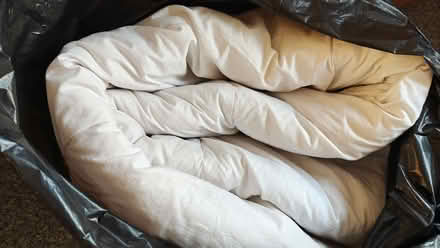 Photo of free Duvet Synthetic (Northern Moor M23) #1