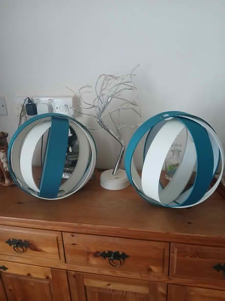 Photo of free Ceiling light shades (Carlisle CA4) #1