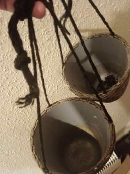 Photo of free Two hanging planters (SW15 Putney Vale) #3