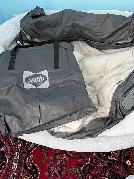 Photo of free Air mattress (North Wheaton) #1