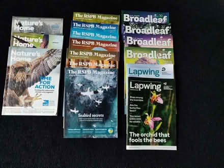 Photo of free Nature Magazines (Abraham Heights LA1) #1
