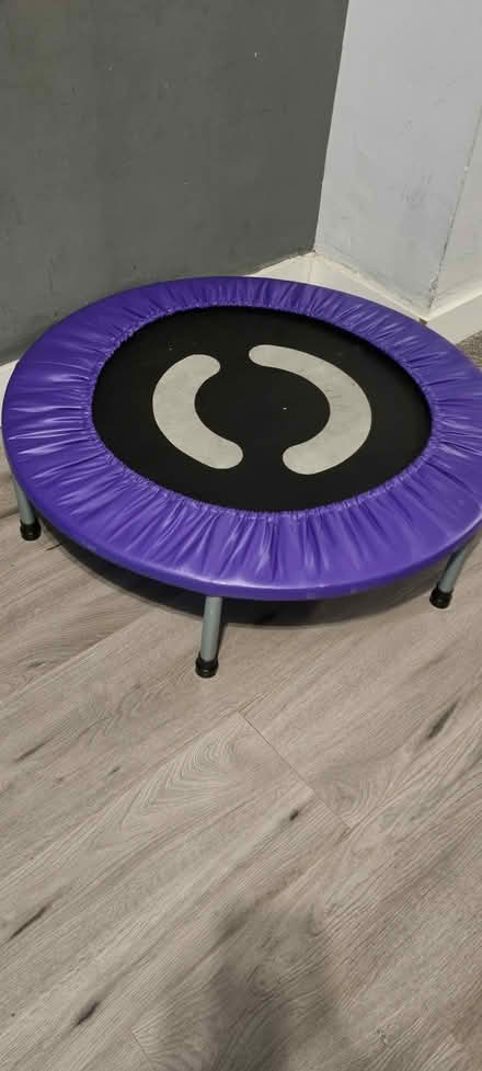 Photo of free Floor Trampoline (ME10) #1