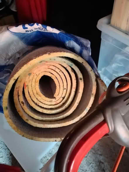 Photo of free Carpet under lay. (Old Town SG1) #2