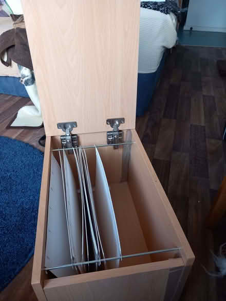 Photo of free Filing cabinet (Paston) #2