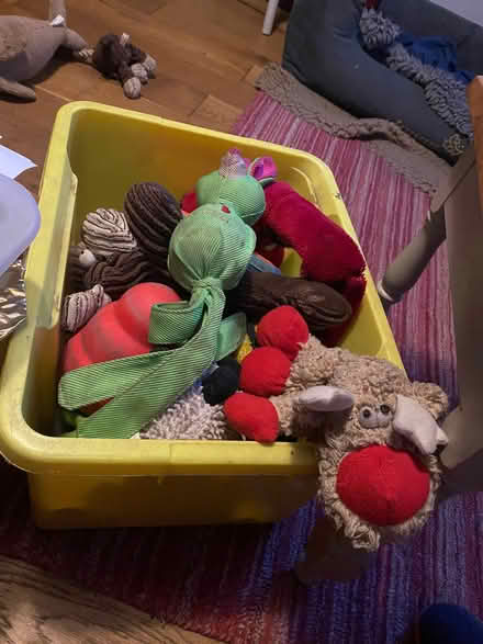 Photo of free Box of dog toys (Warbstow PL15) #1