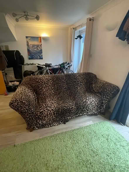 Photo of free Leopard Print sofa (BS5) #1