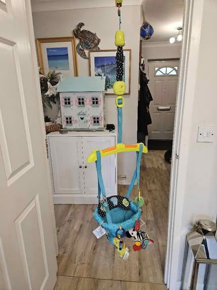 Photo of free Baby bouncer (Chipstead TN13) #1