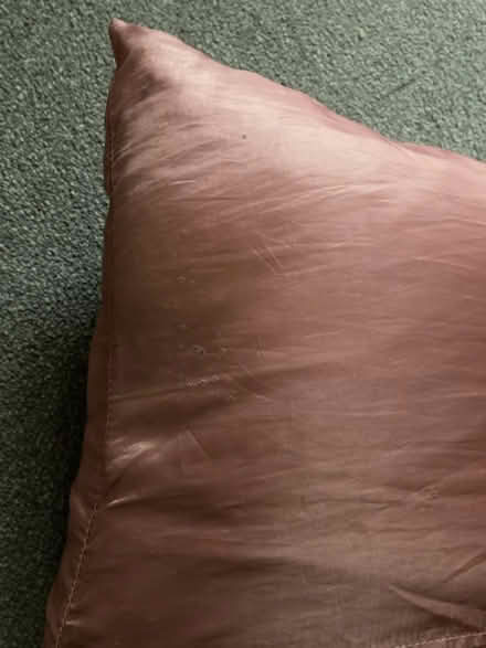 Photo of free Girl’s duvet, pillow & comforter (Chellaston DE73) #2