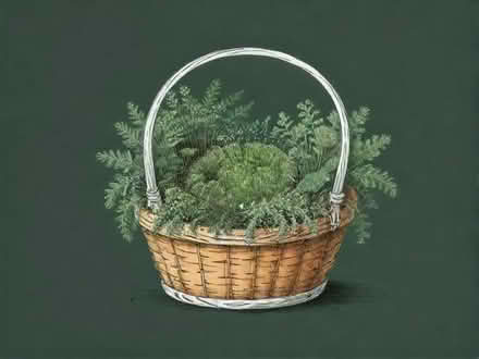 Photo of free Mosses basket for new born (Halifax HX1) #1