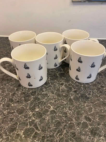 Photo of free 5 Tea Mugs (Horndon SS17) #1