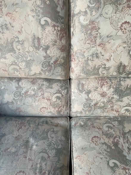 Photo of free Small soda (Lanarkshire) #2