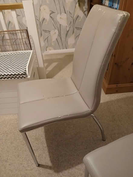 Photo of free 2 Dining chairs (Next) (Great Baddow) #3