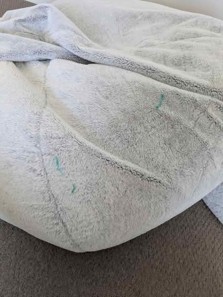 Photo of free Bean bags (Innaloo) #2