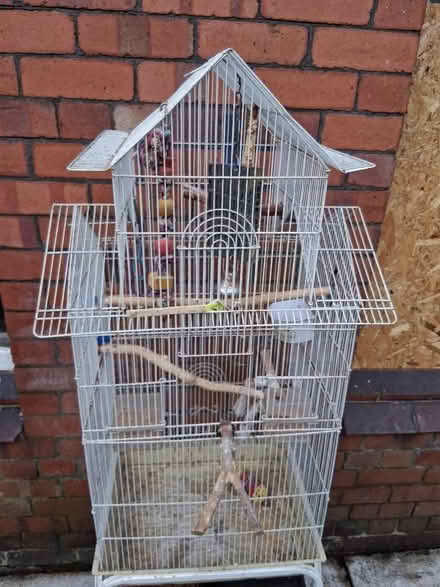 Photo of free Metal bird cage (Spring Bank WN5) #1
