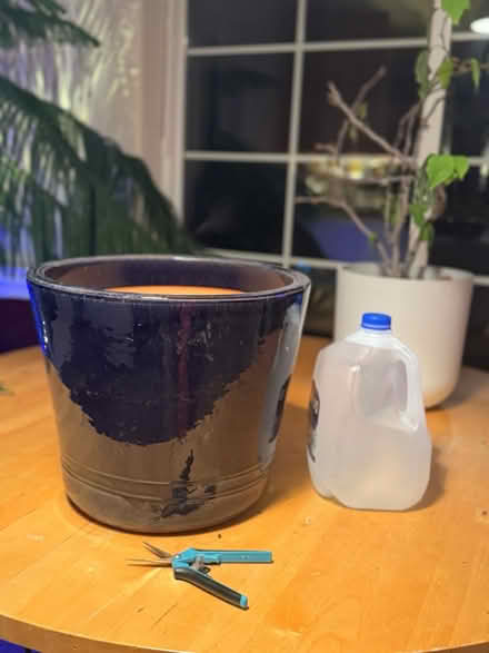 Photo of free Large Glazed Pot 🪴- Purple/Blue (Lafayette) #1