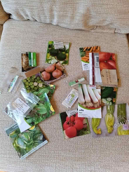 Photo of free Vegetable Seeds (Bray SL6) #1
