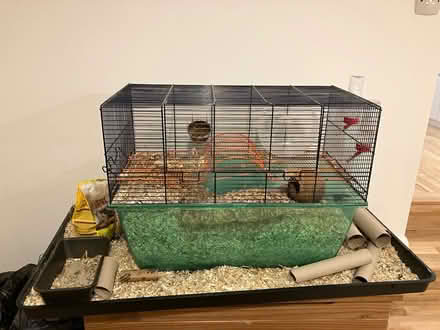 Photo of free Gerbil/hamster cage (EH10 7BY) #1