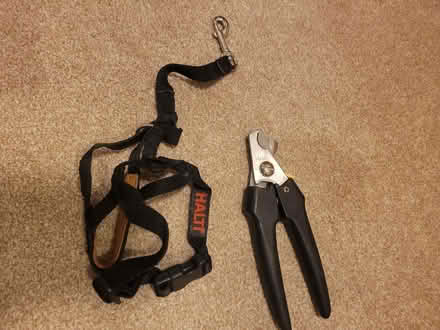 Photo of free Halti collar and nail clippers (SO18) #1