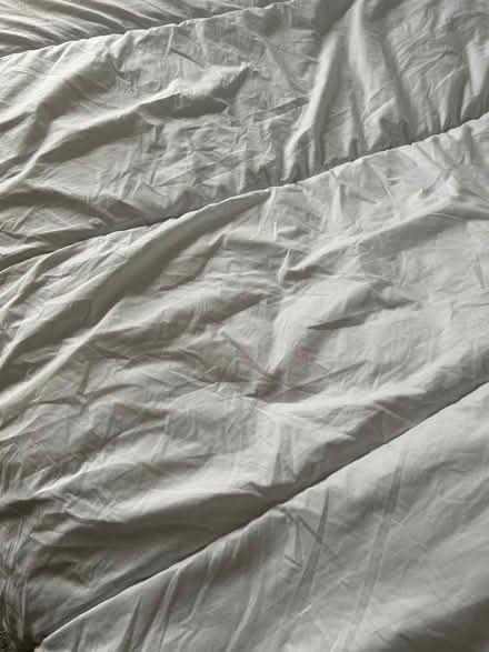 Photo of free Double Duvet, 13.5 tog (Ravenscourt Park W6) #1