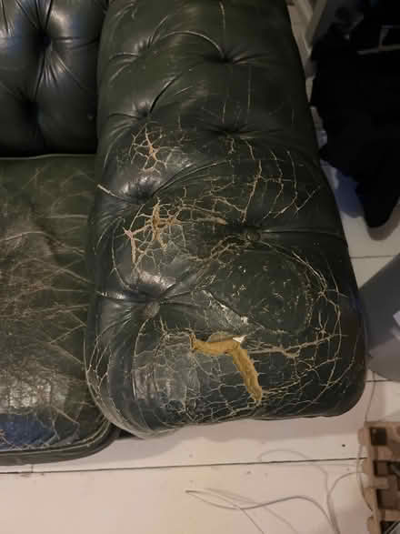 Photo of free Green chesterfield arm chair (Gospel Oak NW3) #4