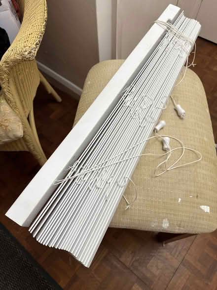 Photo of free White wood Venetian blind (Cooden TN39) #1