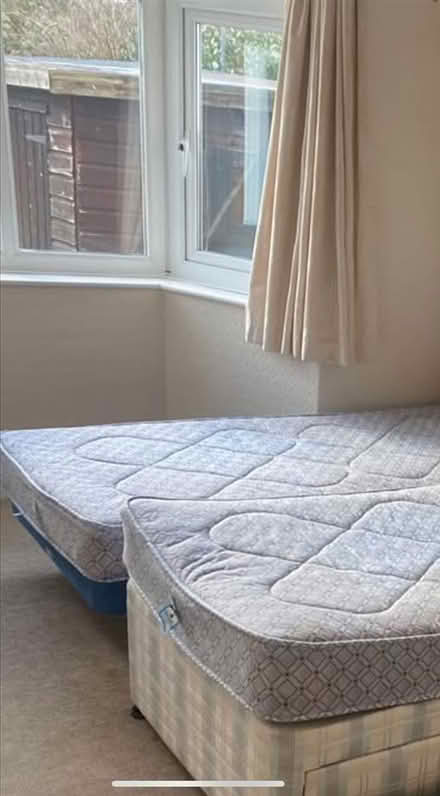 Photo of free Single bed (EX3) #1