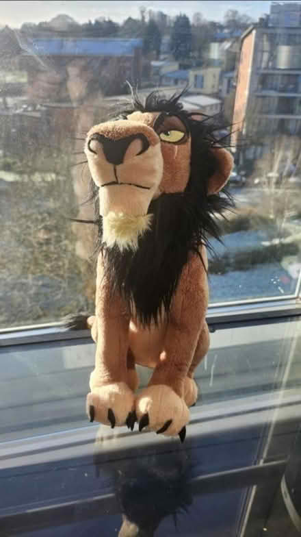 Photo of free lion king teddy (Birmingham B15) #1