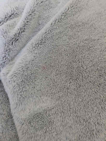 Photo of free Bean bags (Innaloo) #3