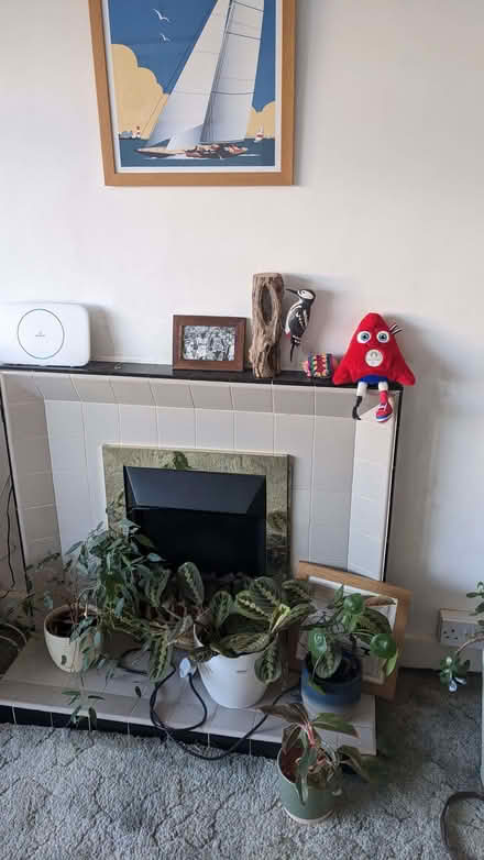 Photo of free Tiled fire surround and fire (Chichester PO19) #1