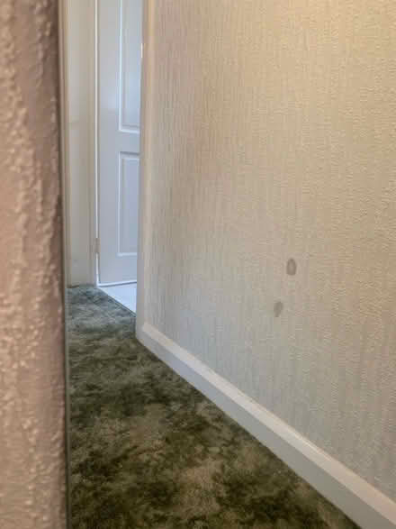 Photo of free Frameless mirror (Bakewell DE45) #3