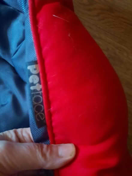 Photo of free Small dog bed (CA7) #2