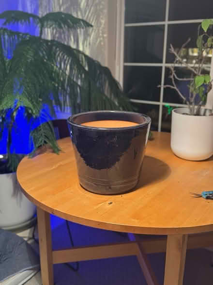 Photo of free Large Glazed Pot 🪴- Purple/Blue (Lafayette) #3