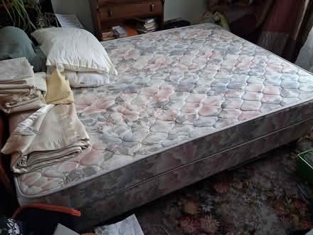 Photo of free Queen bed & bedding (South New Brighton) #2