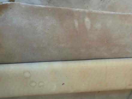 Photo of free Large Area Rug (Oakville) #1