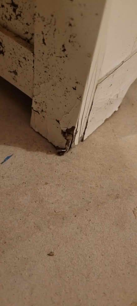 Photo of free Side cupboard (Norton Lees S8) #4