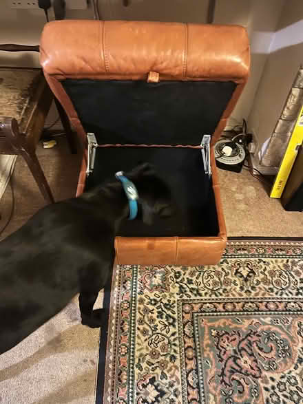 Photo of free Leather Footstool (North Bushey WD25) #2