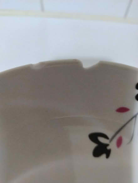 Photo of free Dinner service (North Kensington W10) #4