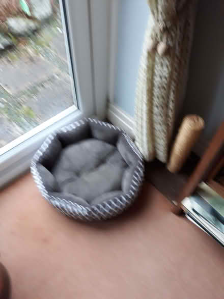 Photo of free cat bed (Nuttall Lane BL8) #1