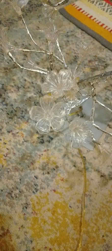 Photo of free Flower lamp (St Leonards TN38) #3