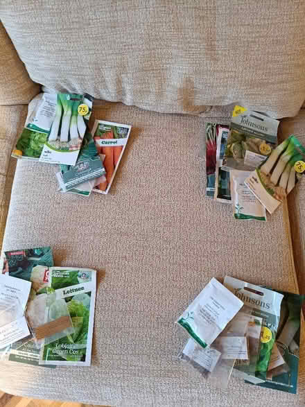 Photo of free Vegetable seeds (Bray SL6) #1