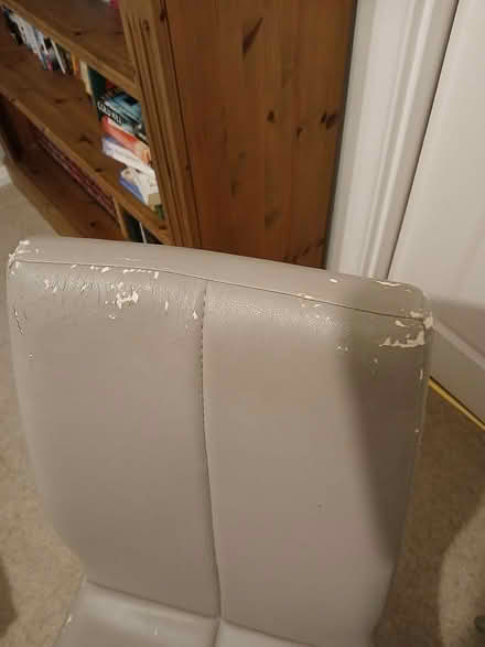 Photo of free 2 Dining chairs (Next) (Great Baddow) #4