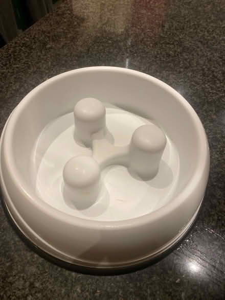 Photo of free Large slow feeder dog bowl (Brockton much wenlock TF13) #1