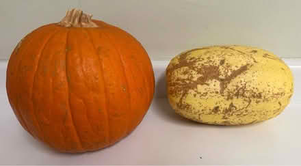 Photo of free Large pumpkin and spaghetti squash (Valencia Avenue, Sunnyvale) #2