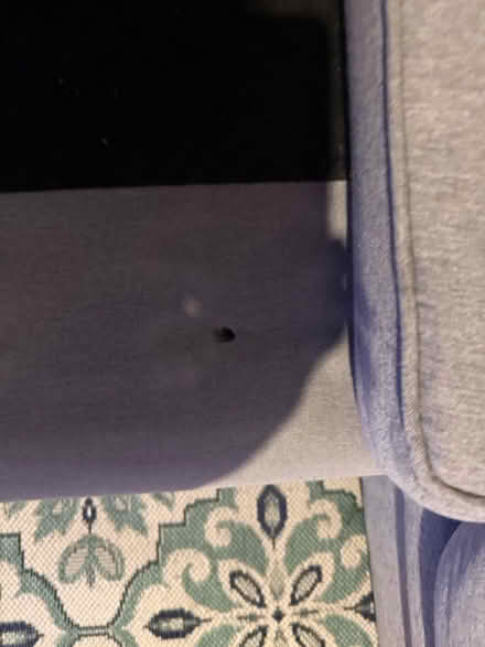 Photo of free L-Shaped Sofa (SW2) #1