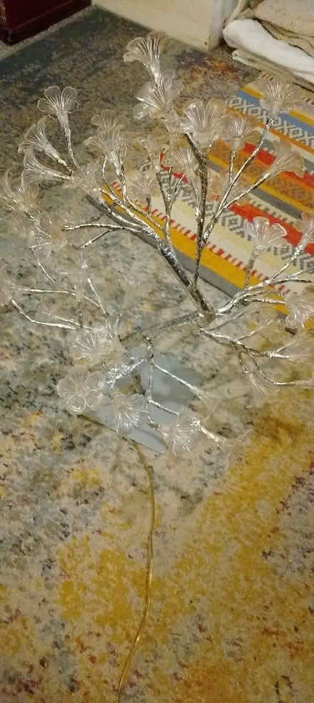 Photo of free Flower lamp (St Leonards TN38) #2