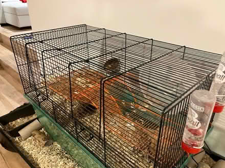 Photo of free Gerbil/hamster cage (EH10 7BY) #2