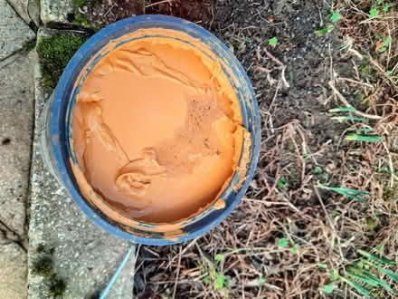 Photo of free Cuprinol wood treatment (cockermouth) #2